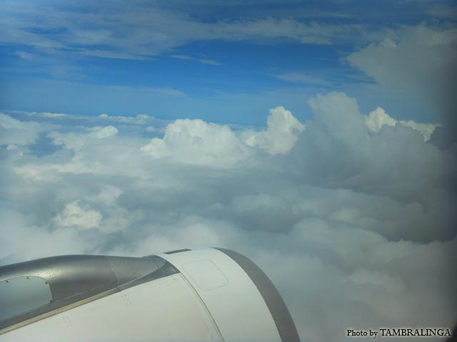 SDC11011.jpg